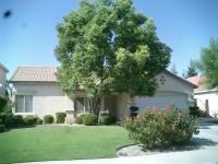 Pictures of recently trimmed trees