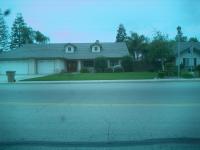 Juniper Bush Trimmed into a Tree
