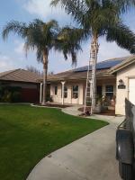 Pictures of recently trimmed trees