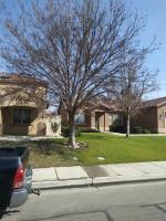 Pictures of recently trimmed trees