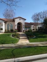 Three crape myrtles and 1 photinia trimmed and shaped