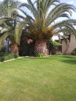 Date ðī AND Mediterranean ðī Trimmed.ðĩ