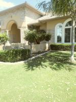 Pictures of recently trimmed trees