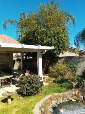 Pictures of recently trimmed trees