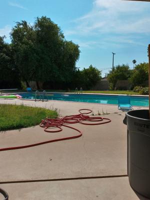 Pictures of recently trimmed trees