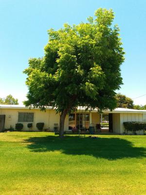 Pecan Tree in Kern City!!3RD time trimmed .Before & After🐵