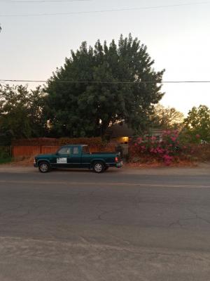 Pictures of recently trimmed trees