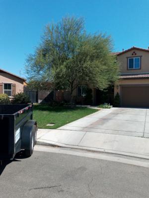 Pictures of recently trimmed trees