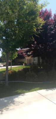 Plum & pistachio Before & After.