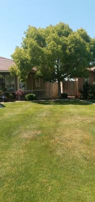 Camphor Before & After!!