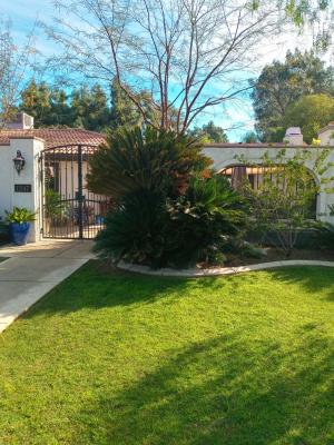 Pictures of recently trimmed trees