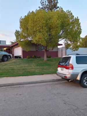 Camphor tree's Before & After.