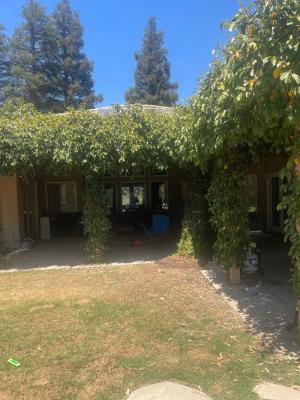 Pictures of recently trimmed trees