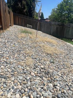 A Good Tree Man can do anything !! 👍